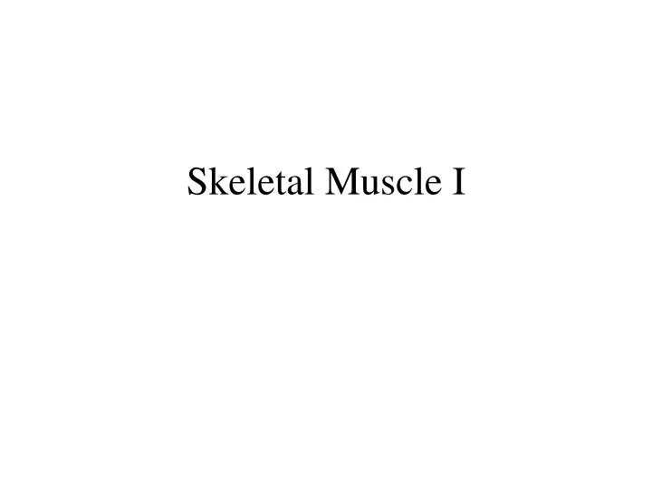 skeletal muscle i