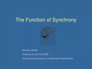 The Function of Synchrony