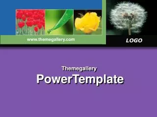 Themegallery PowerTemplate