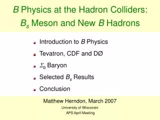 B Physics at the Hadron Colliders: B s Meson and New B Hadrons