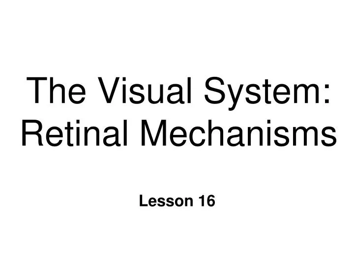 the visual system retinal mechanisms