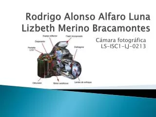 rodrigo alonso alfaro luna lizbeth merino bracamontes