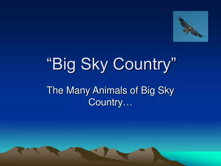 big sky country
