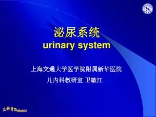 urinary system