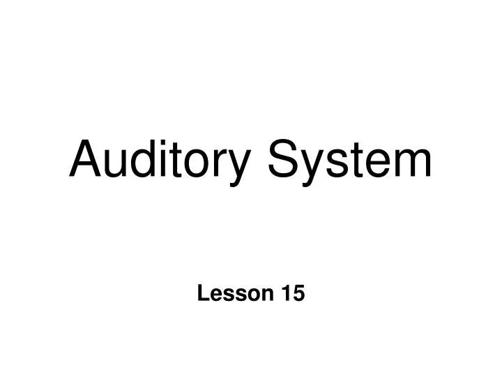 auditory system