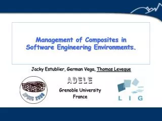 Management of Composites in Software Engineering Environments.