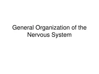General Organization of the Nervous System
