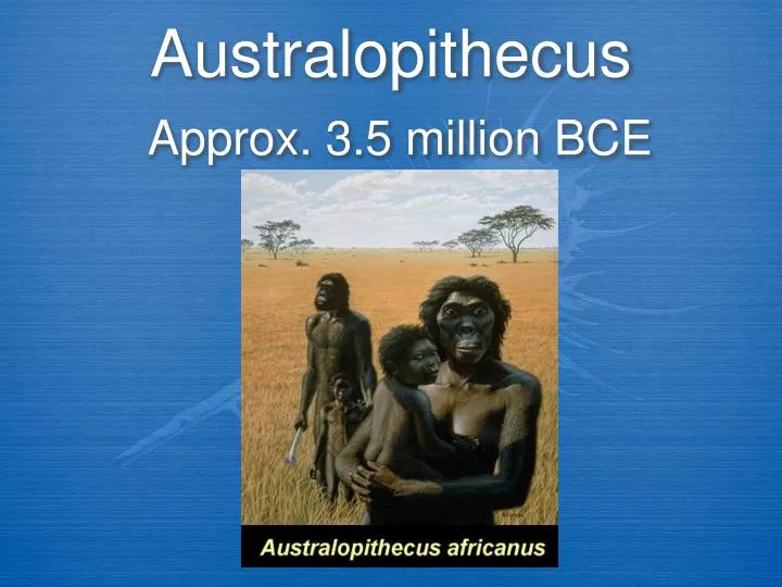 australopithecus approx 3 5 million bce
