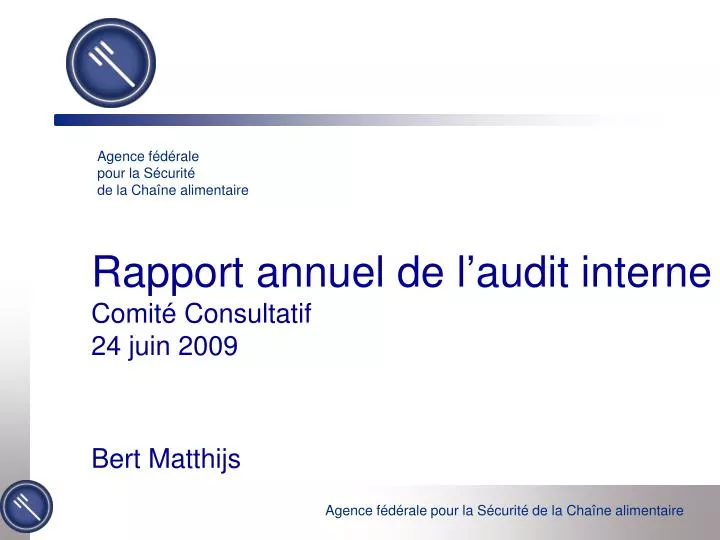 rapport annuel de l audit interne comit consultatif 24 juin 2009