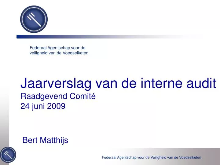 jaarverslag van de interne audit raadgevend comit 24 juni 2009