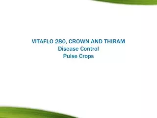 VITAFLO 280, CROWN AND THIRAM Disease Control Pulse Crops
