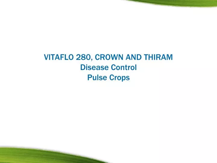 vitaflo 280 crown and thiram disease control pulse crops