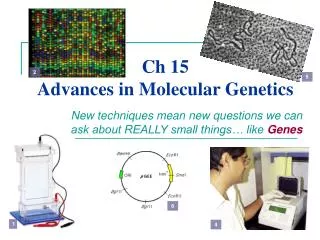 Ch 15 Advances in Molecular Genetics