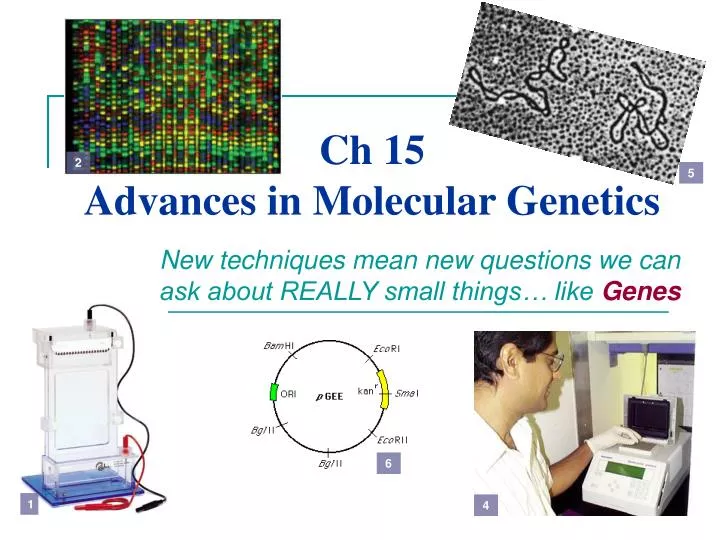 ch 15 advances in molecular genetics