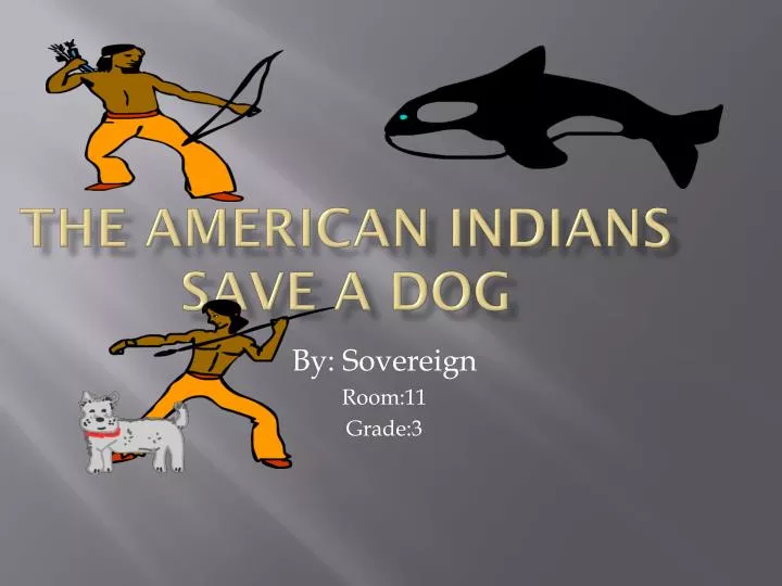 the american indians save a dog