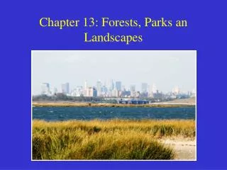 Chapter 13: Forests, Parks an Landscapes