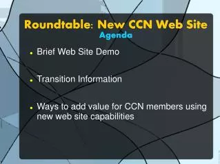 Roundtable: New CCN Web Site Agenda