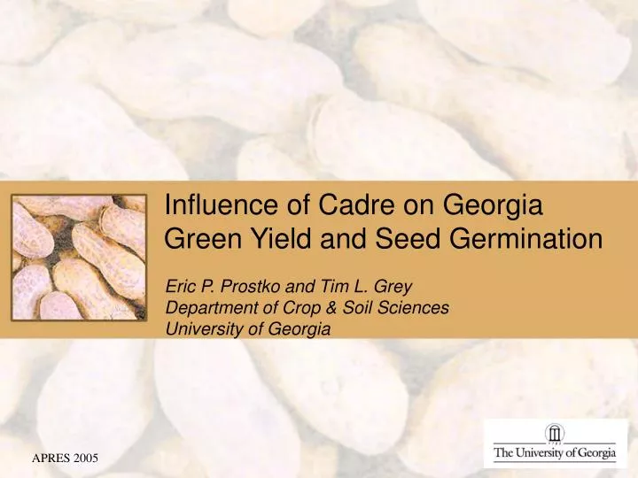 influence of cadre on georgia green yield and seed germination