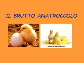 il brutto anatroccolo