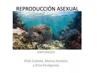 reproducci n asexual