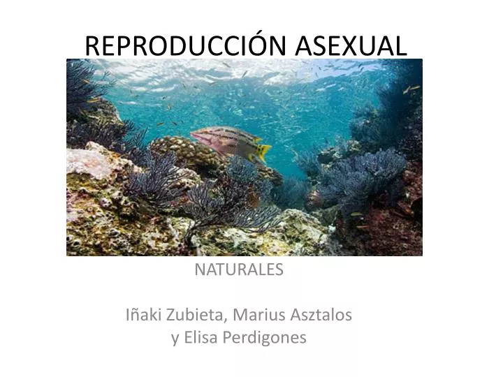 reproducci n asexual