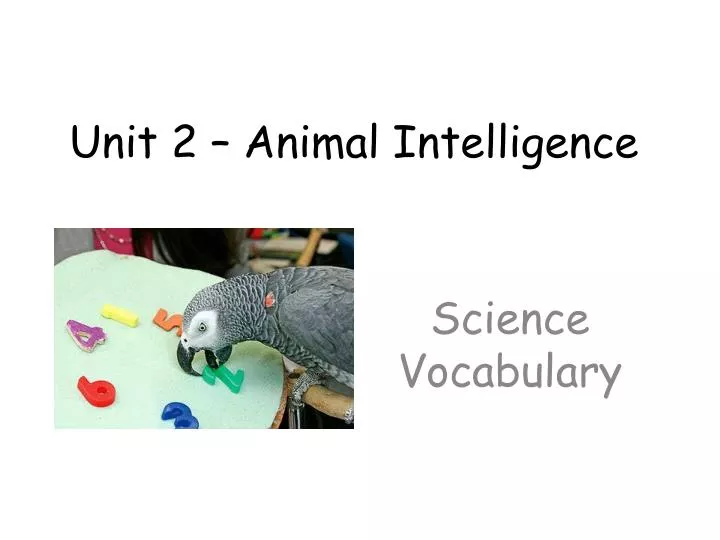 unit 2 animal intelligence