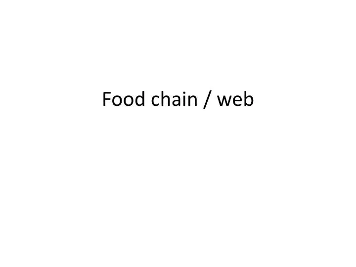 food chain web