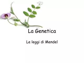 la genetica