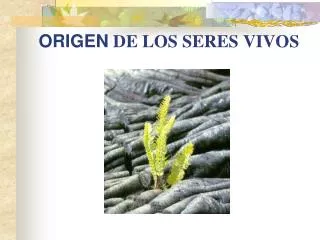 origen de los seres vivos