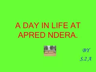 A DAY IN LIFE AT APRED NDERA.