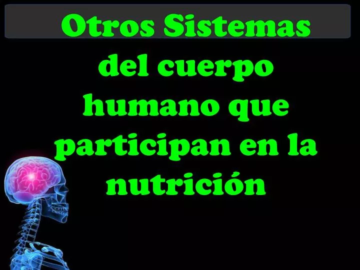 otros sistemas del cuerpo humano que participan en la nutrici n