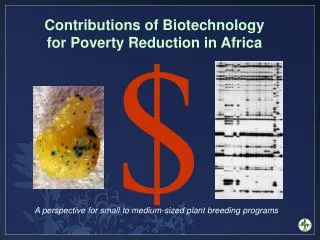 Contributions of Biotechnology for Poverty Reduction in Africa