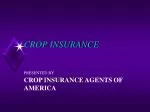 CROP INSURANCE - slide 1