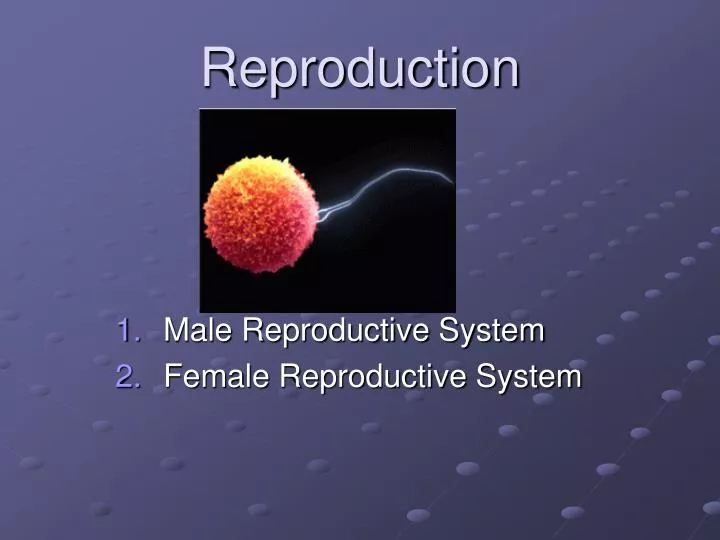 reproduction