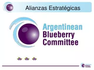 alianzas estrat gicas