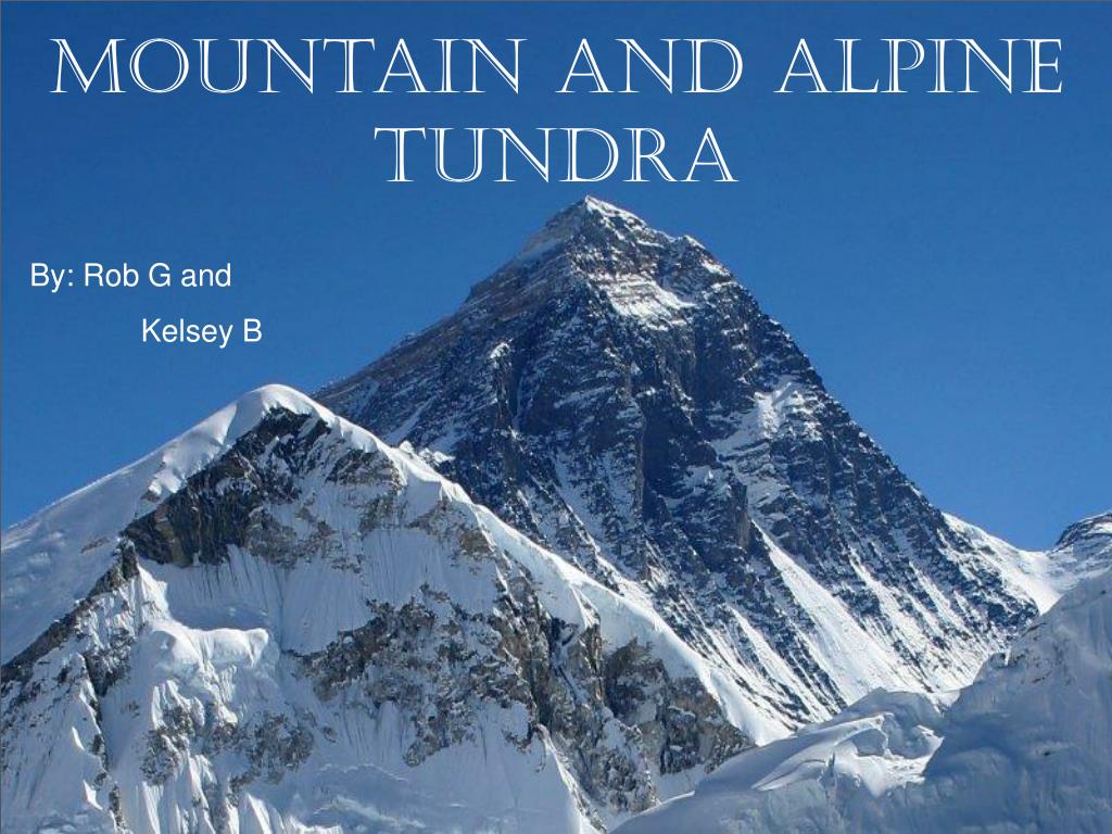 PPT - Mountain and Alpine Tundra PowerPoint Presentation, free download ...