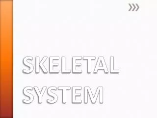 SKELETAL SYSTEM