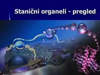 Stanični organeli - pregled