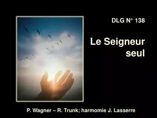 dlg n 138 le seigneur seul