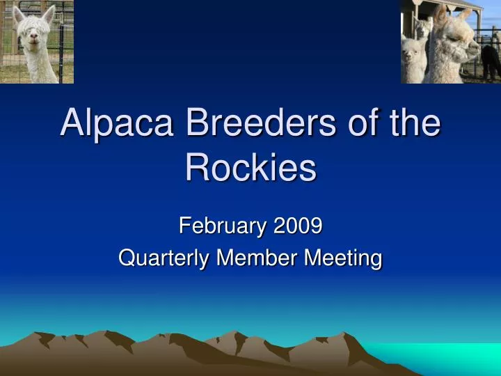 alpaca breeders of the rockies