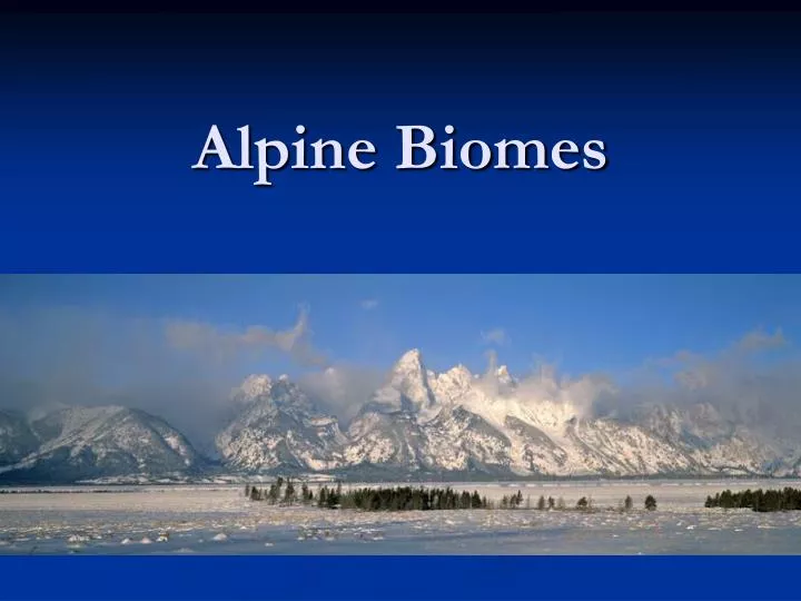 alpine biomes