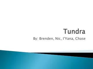 tundra