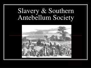 Slavery &amp; Southern Antebellum Society