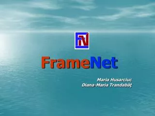 frame net
