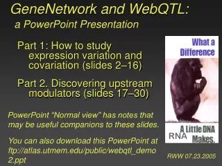GeneNetwork and WebQTL:
