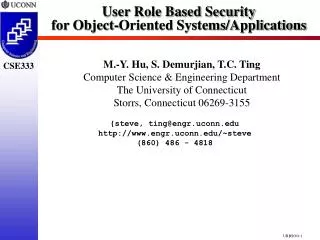 User Role Based Security for Object-Oriented Systems/Applications