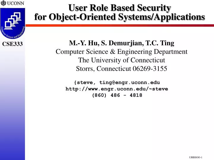 user role based security for object oriented systems applications