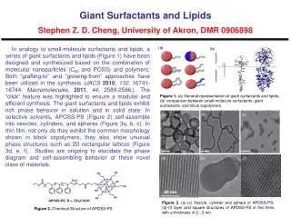 Giant Surfactants and Lipids Stephen Z. D. Cheng, University of Akron, DMR 0906898