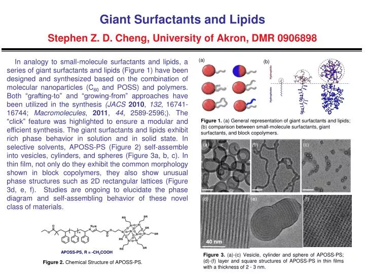 giant surfactants and lipids stephen z d cheng university of akron dmr 0906898