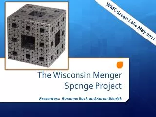 The Wisconsin Menger Sponge Project